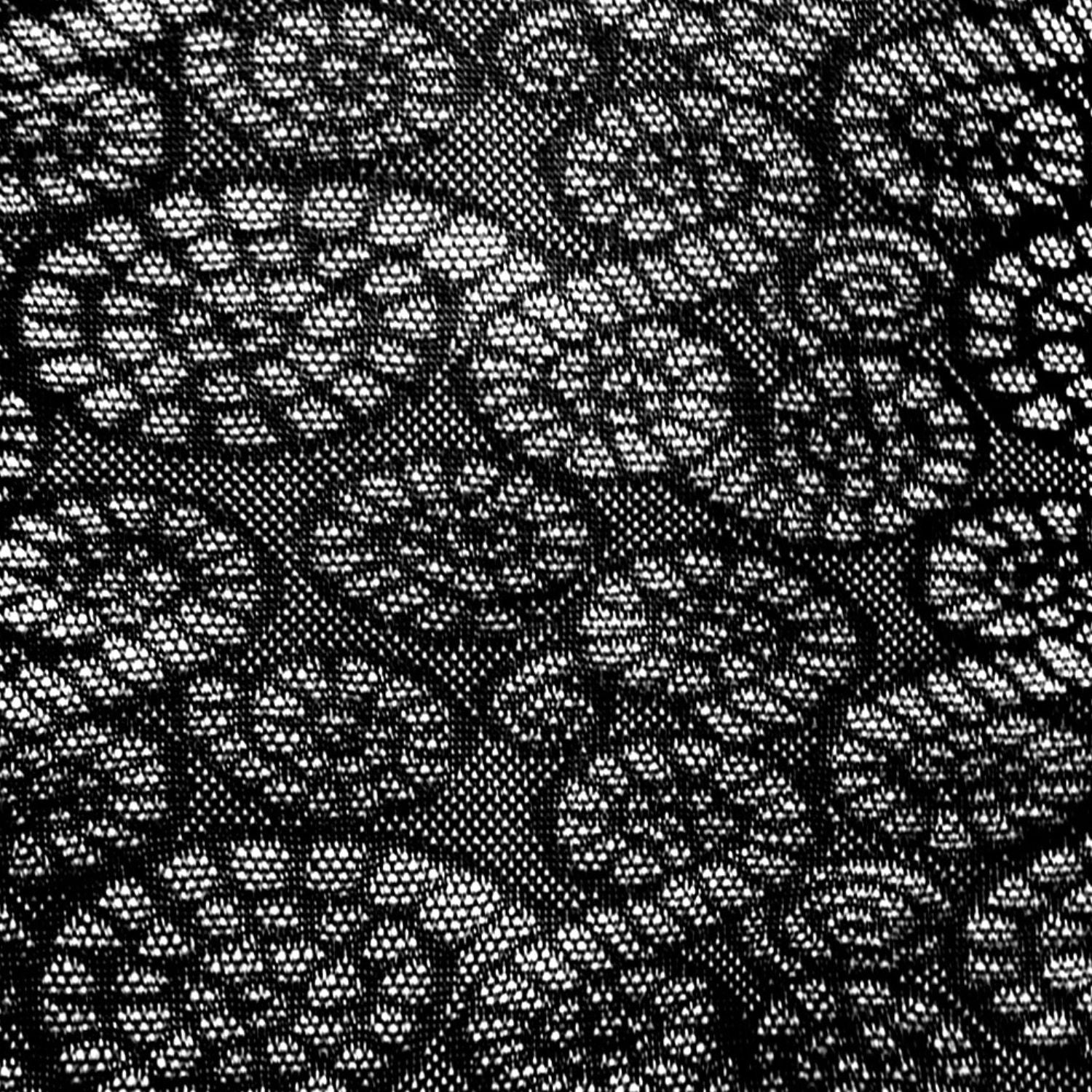 Medias fósiles de amonita