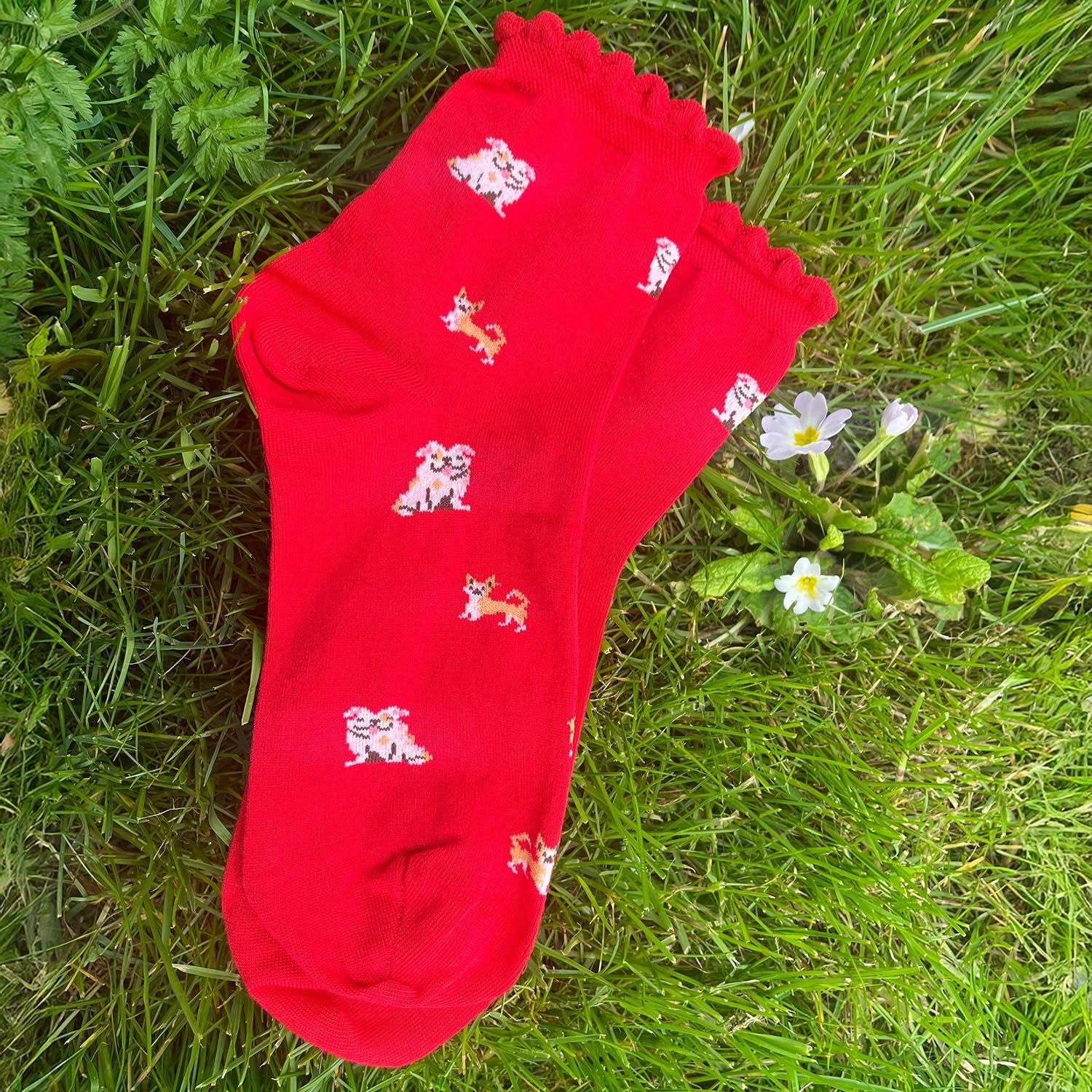 Ultimate Bamboo Ankle Socks - Woof