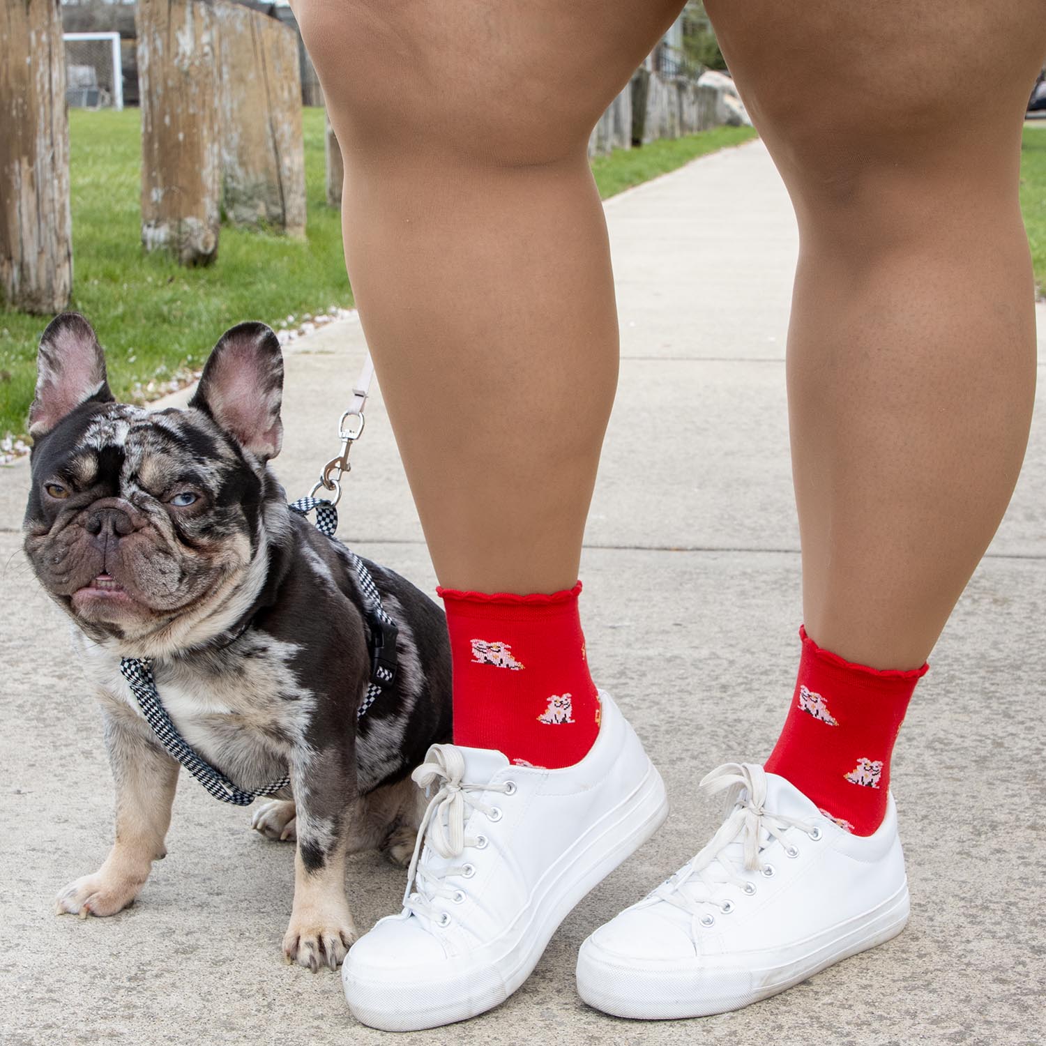 Ultimate Bamboo Ankle Socks - Woof