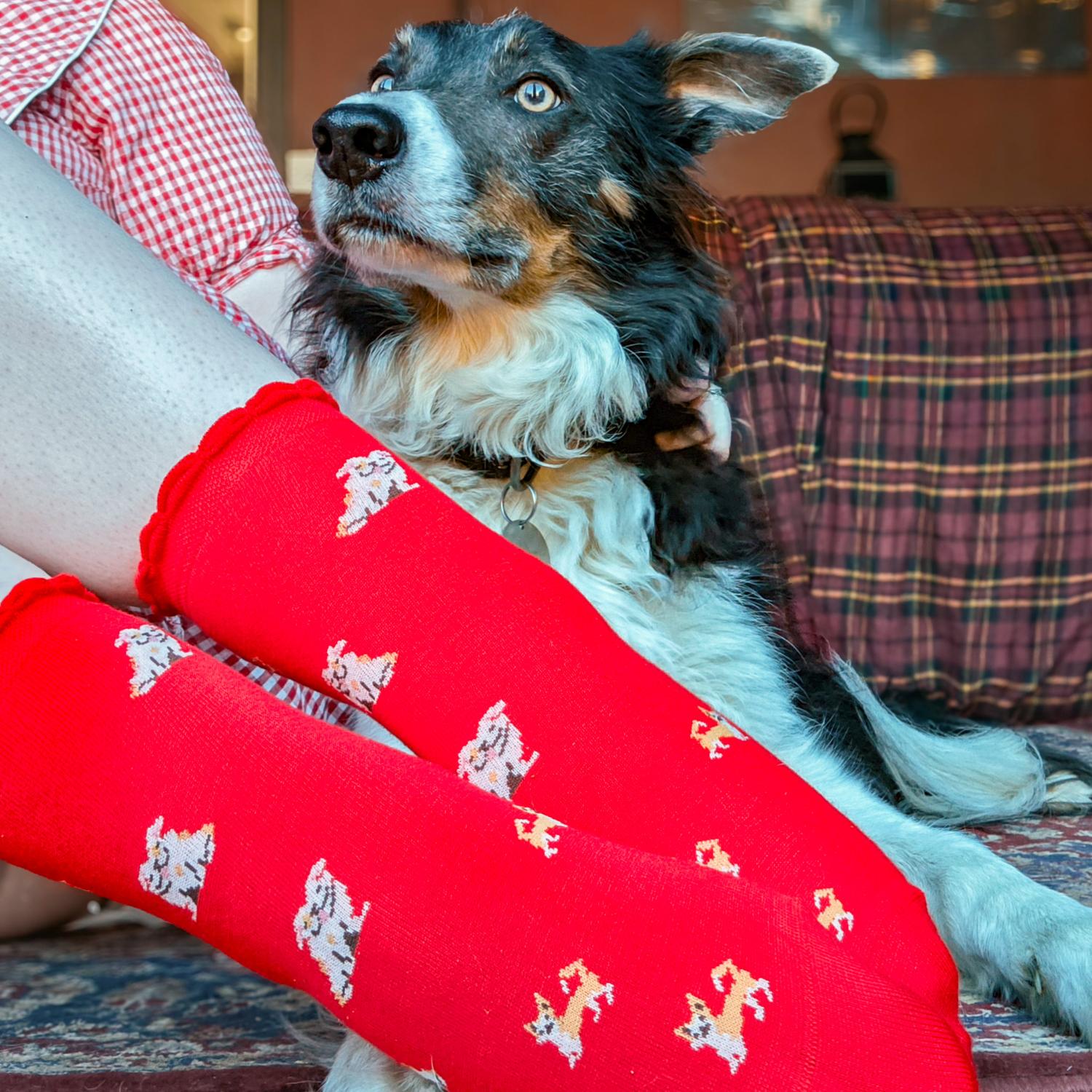 Ultimate Bamboo Ankle Socks - Woof