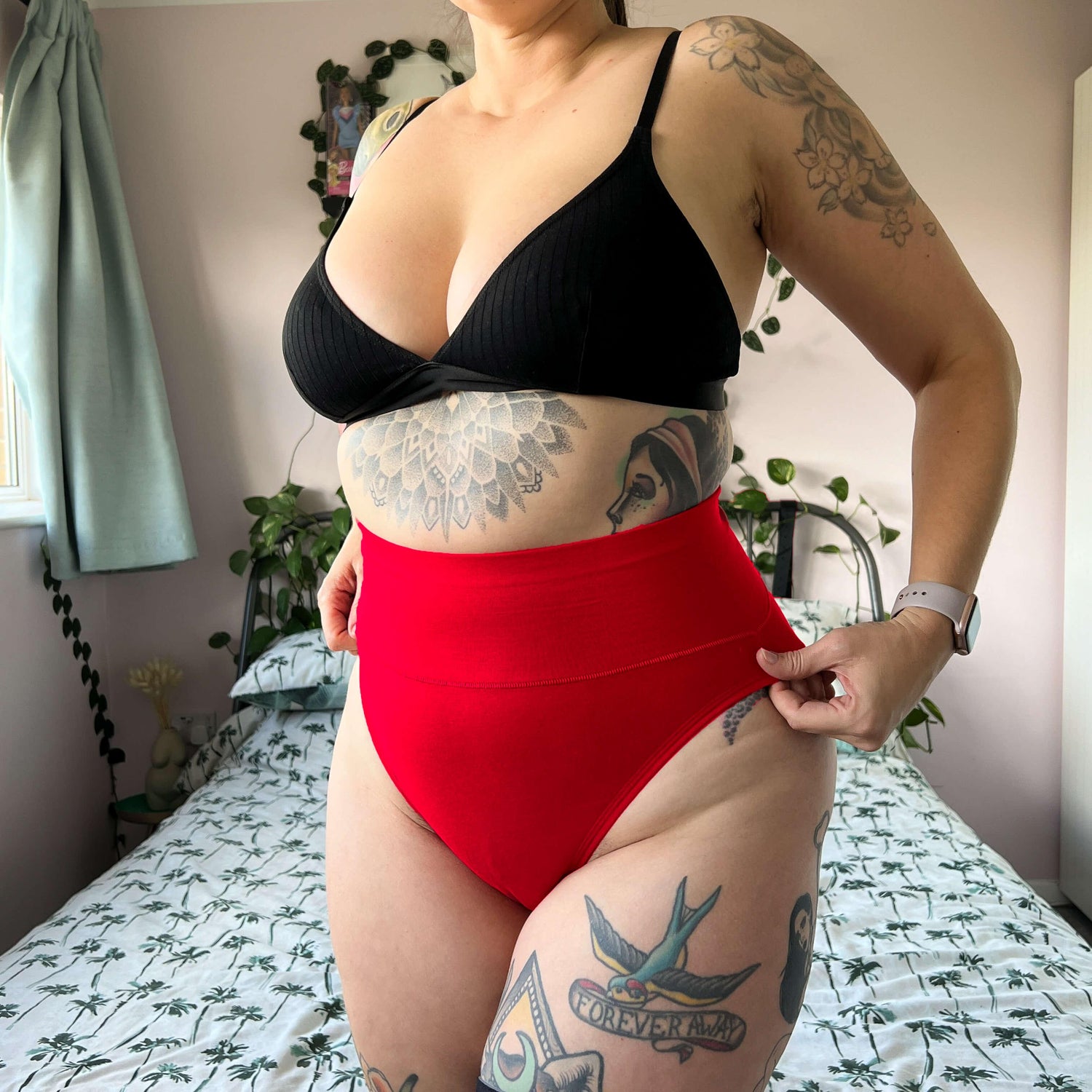 Braguitas de algodón orgánico de pierna alta - Langosta