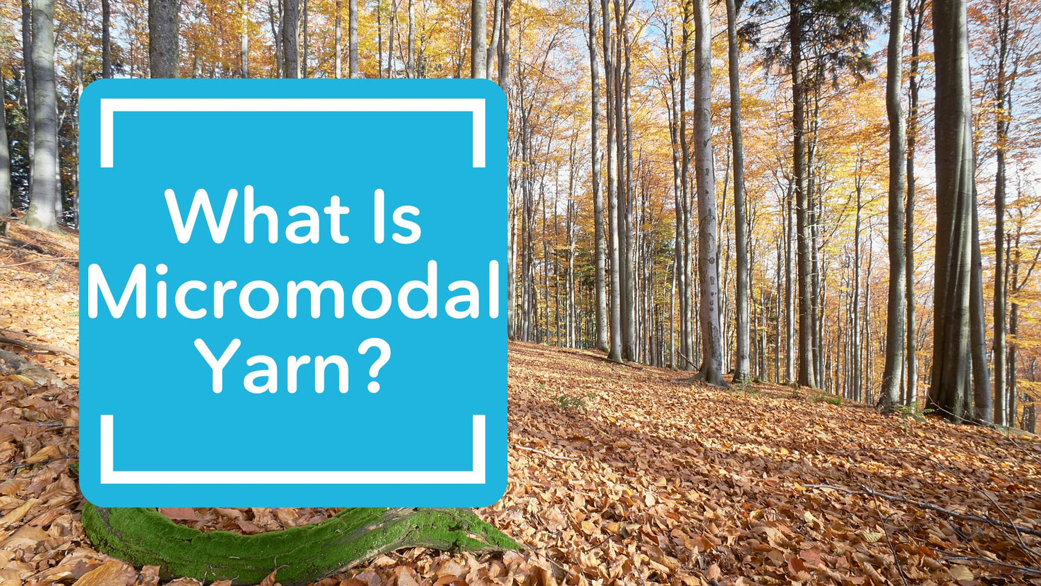 Everything You Need to Know About Micromodal Yarn