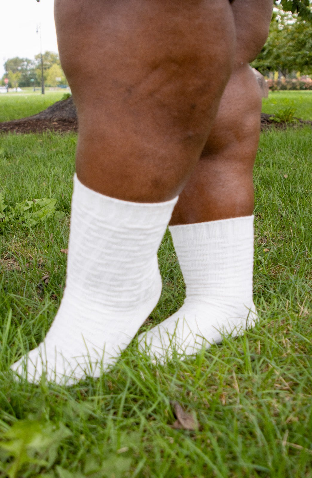 Everyday Crew Socks - 5 Pairs in White